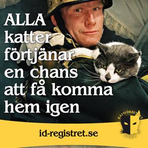 Du har väl ID-märkt din katt? Registrera den i vårt ID-register