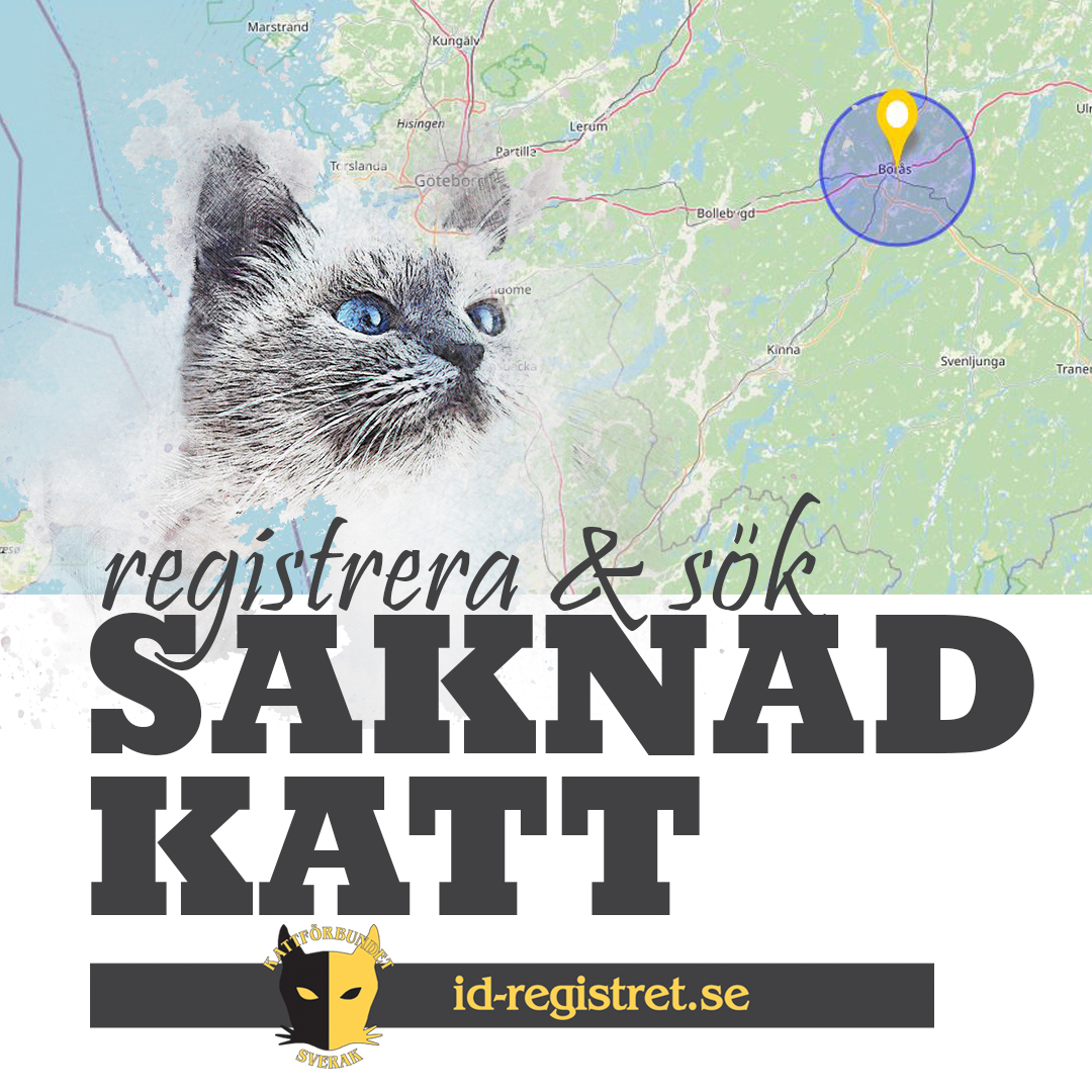 Sök saknad katt!