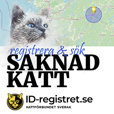 Sök saknad katt!